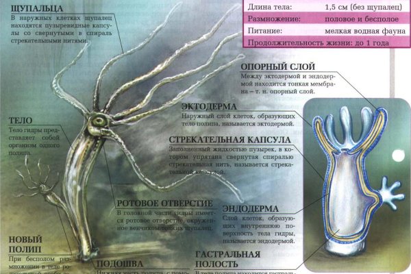 Замена гидры